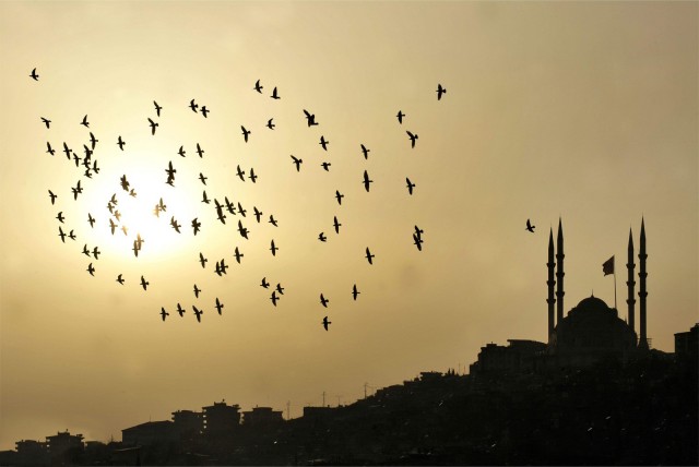 Kahramanmaraş Fotoğrafları (Güncel) - 16