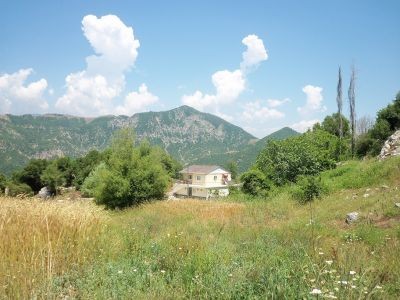 Suluyayla Çınar Pansiyon