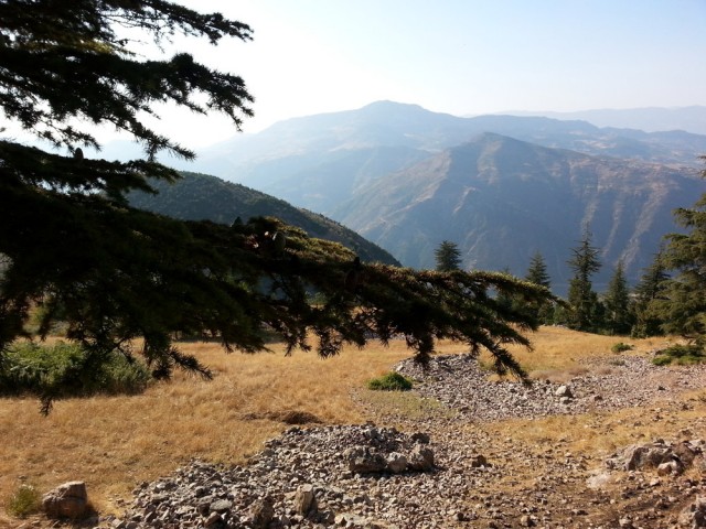 Yavşan Yaylası (Sır Barajı-Karadere-Hartlap Üstü)