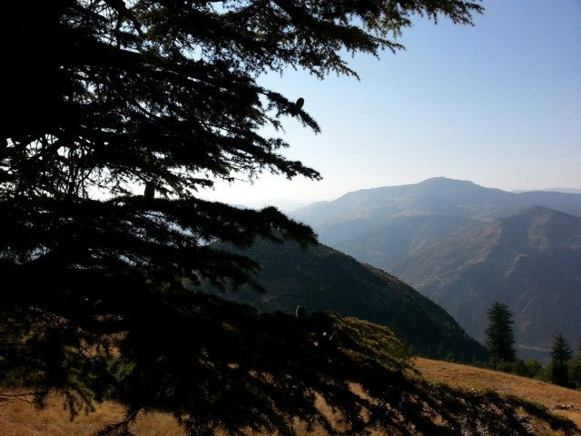 Yavşan Yaylası (Sır Barajı-Karadere-Hartlap Üstü)