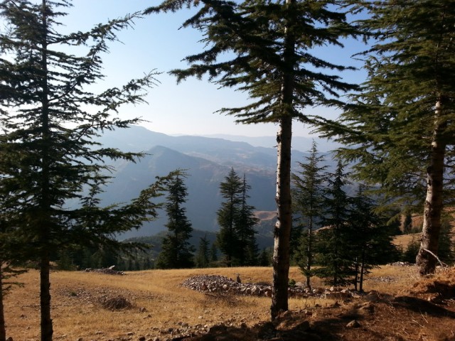 Yavşan Yaylası (Sır Barajı-Karadere-Hartlap Üstü)
