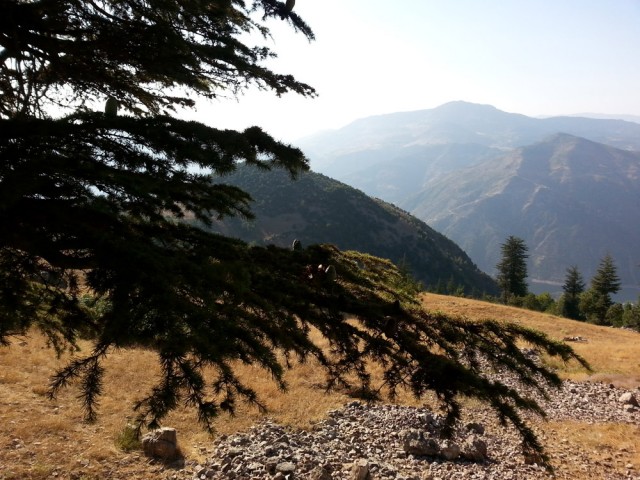 Yavşan Yaylası (Sır Barajı-Karadere-Hartlap Üstü)