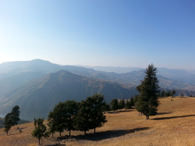 Yavşan Yaylası (Sır Barajı-Karadere-Hartlap Üstü)