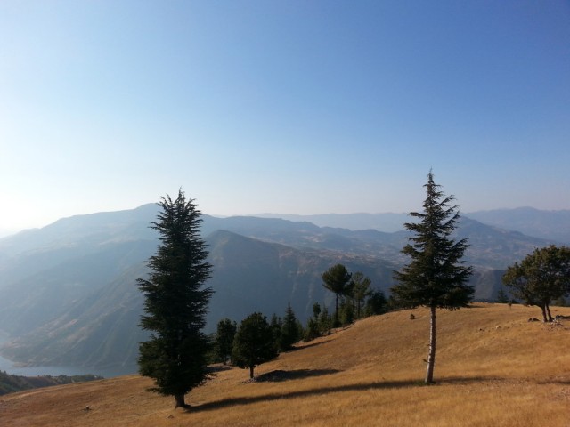 Yavşan Yaylası (Sır Barajı-Karadere-Hartlap Üstü)