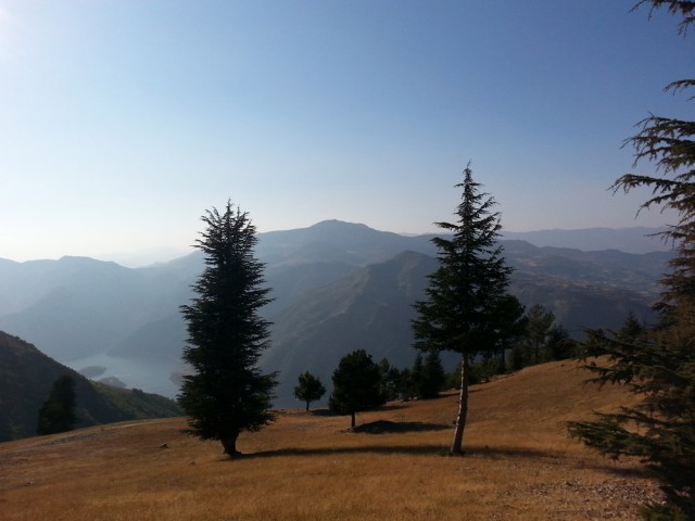 Yavşan Yaylası (Sır Barajı-Karadere-Hartlap Üstü)