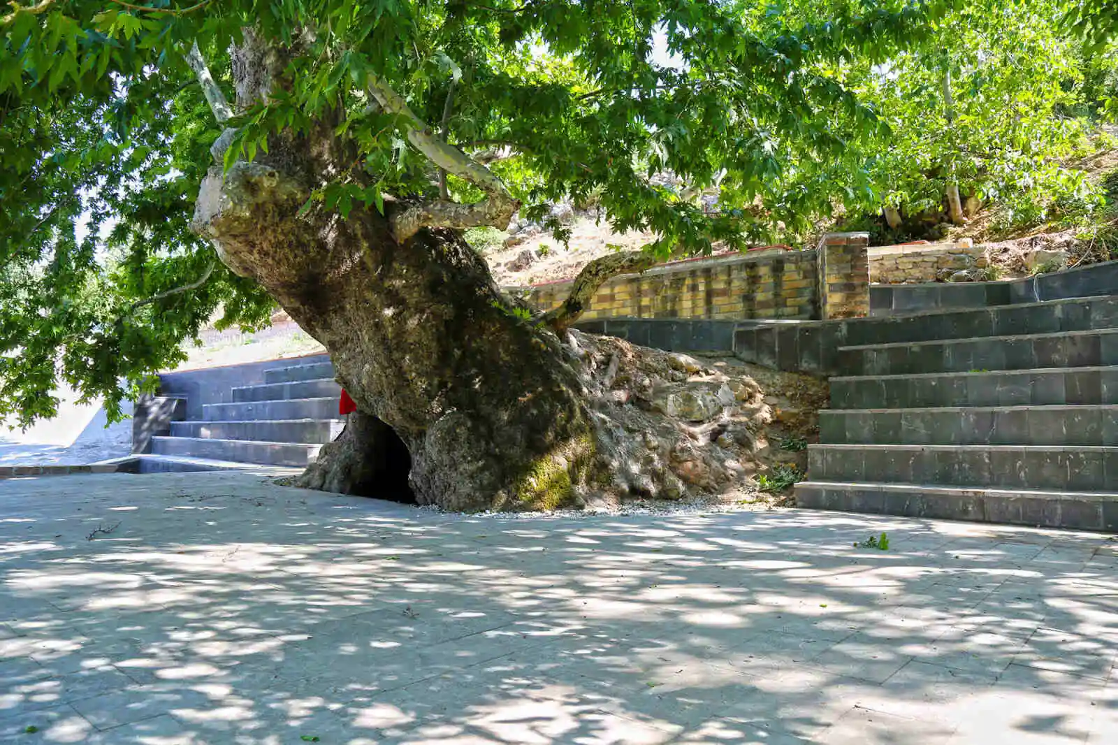 Kahramanmaraş Doğa Hazineleri - 28
