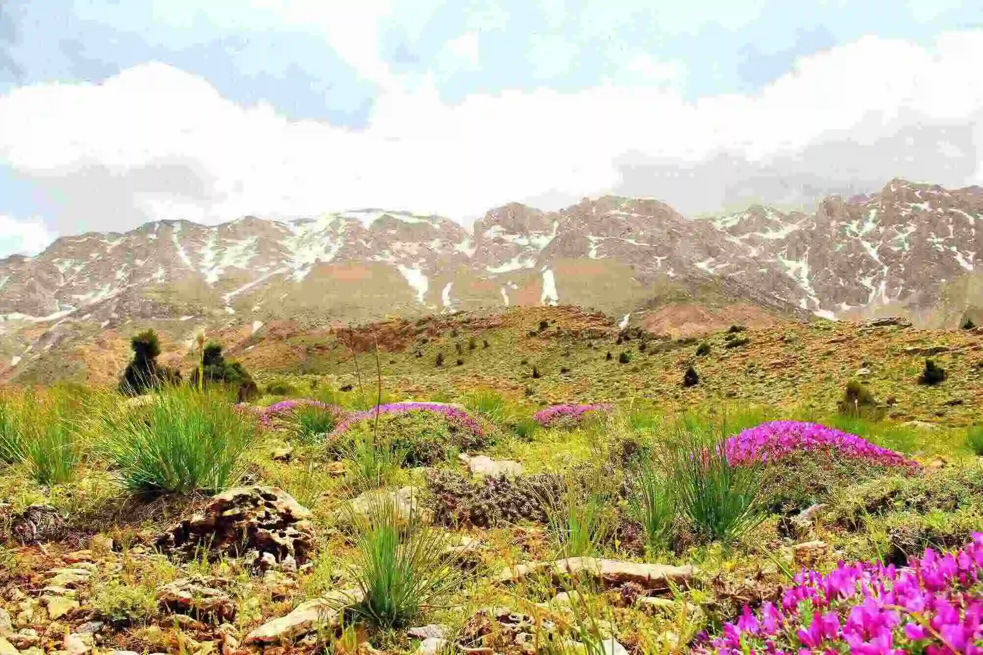 Kahramanmaraş Doğa Hazineleri - 30