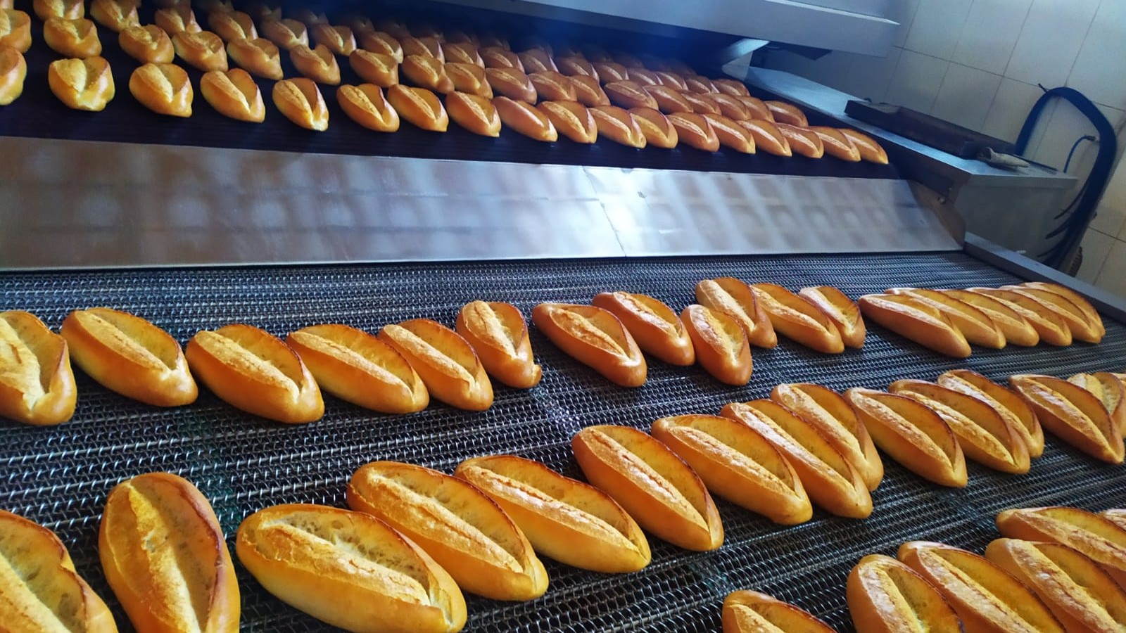 Büyükşehir, Halk Ekmek Ağını Güçlendiriyor; Filoya 9 Yeni Araç