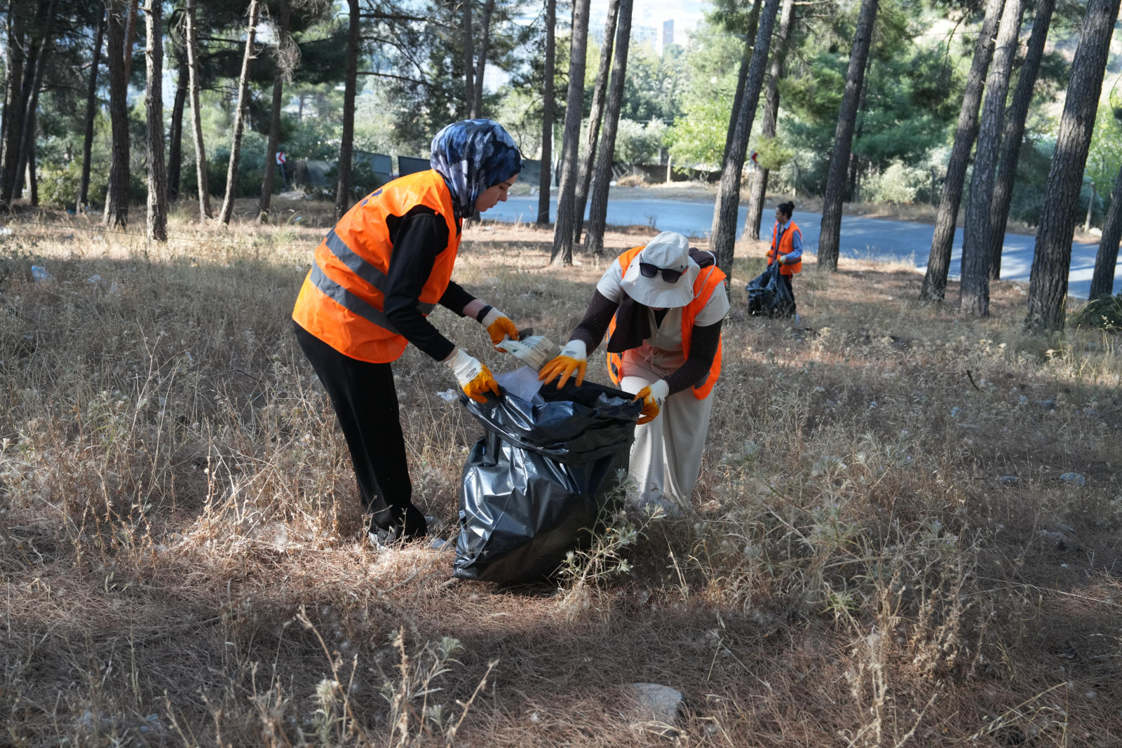 Büyükşehir ve Çevre Gönüllüleri Doğa İçin El Ele