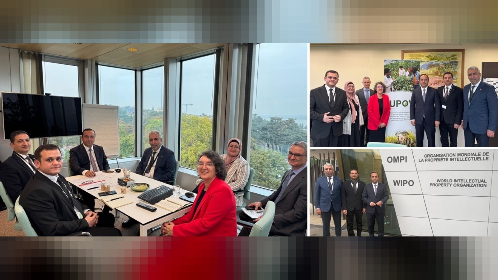 Genel Müdürümüz Uğur Erdem Cenevre'de Uluslararası Yeni Bitki Çeşitlerini Koruma Birliği'nde (Upov) Düzenlenen Bir Dizi Toplantıya Katıldı